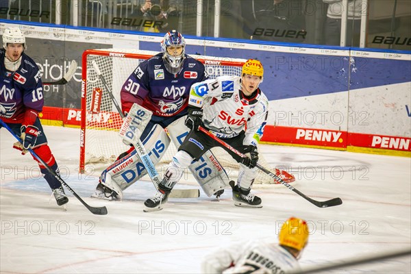 Game scene Adler Mannheim against Fischtown Pinguins Bremerhaven (PENNY DEL, German Ice Hockey League)