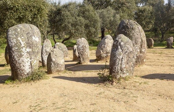 Neolothic stone circle of granite boulders, Cromeleque dos Almendres, Evora district, Alentejo, Portugal, southern Europe, Europe