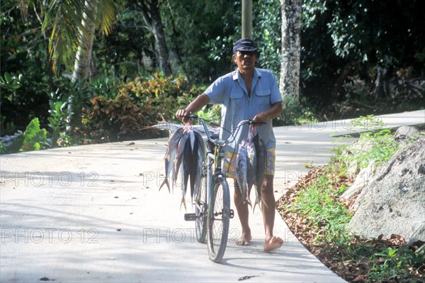Man carrying fresh fish on his bicycle on the island of La Digue, Seychelles, Africa