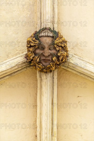 Roof boss face of green or wild man in cloisters, Norwich Cathedral, Norfolk, England, UK