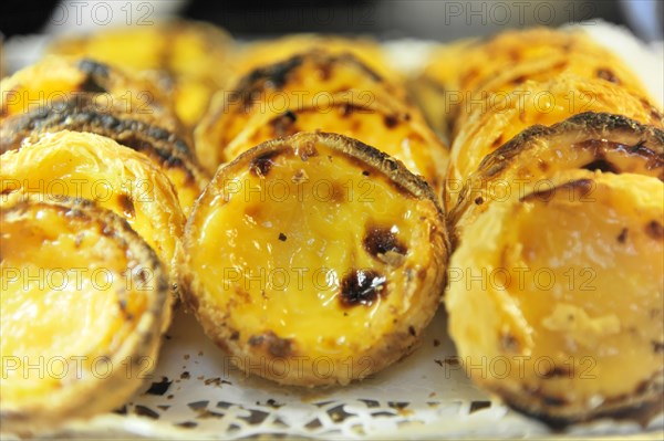 Pastel de Nata, Pasteis de Nata on a plate, custard tart, Portuguese speciality, city centre, Lisbon, Lisboa, Portugal, Europe