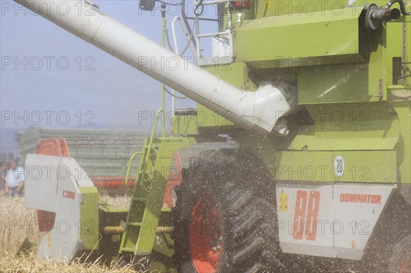 Agriculture grain harvest (Rhineland-Palatinate, July 2020)