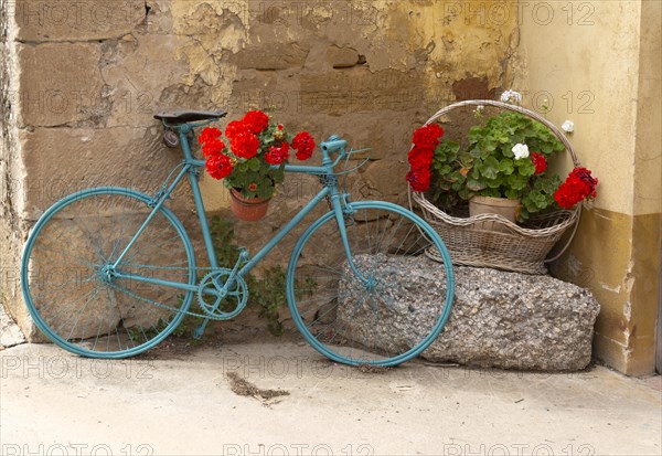 Old bicycle painted blue with red geranium flowers in pots, San Asensio, La Rioja Alta, Spain, Europe