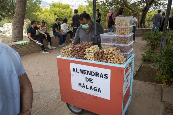Trader selling roasted almonds outside Castillo de Gibralfaro castle, Malaga, Andalusia, Spain, Europe