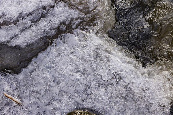 Severe frost has formed bizarre ice formations in the riverbed of the Gottleuba, Bergieshuebel, Saxony, Germany, Europe