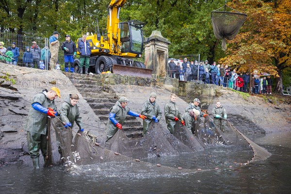 Fish and forest festival, fishing in the Moritzburg castle pond