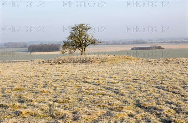 Bronze Age bowl barrow on Windmill Hill, a Neolithic causewayed enclosure, near Avebury, Wiltshire, England, UK