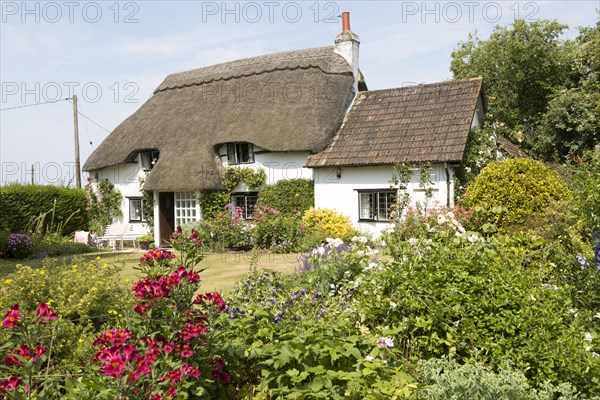 Garden around thatched country cottage in summer, Cherhill, Wiltshire, England property release available