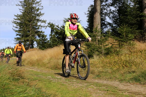 Mountain bike tour through the Bavarian Forest with the DAV Summit Club: Mountain bikers in the Bohemian Forest near the border with Bavaria