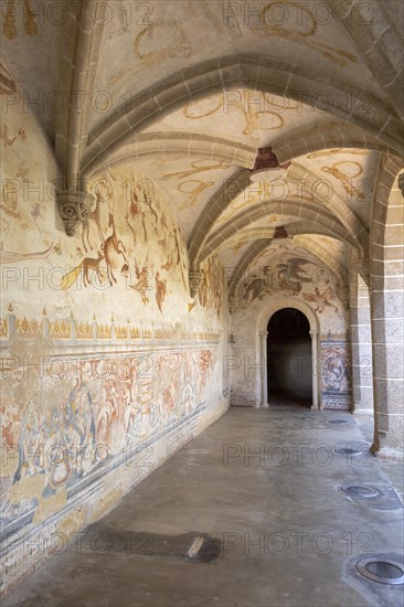 Image set of Casas Pintadas, Evora, Portugal unusual 16th-century murals paintings of creatures real and imagined, birds, hares, foxes, a basilisk, a mermaid and a harpy