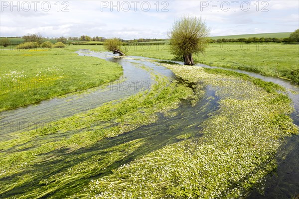 River Till seasonal chalk stream known as a winterbourne, Winterbourne Stoke, Wiltshire, England, UK