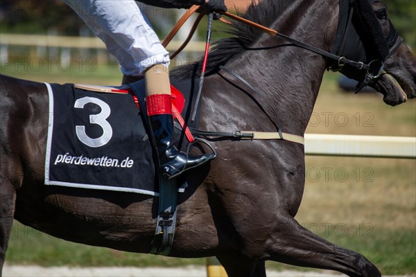 Race day at the racecourse in Hassloch, Palatinate. Galloping out after the Mueller Bau GmbH Prize (category E, 1, 400 metres) . Here Martin Seidl on Mon Amour