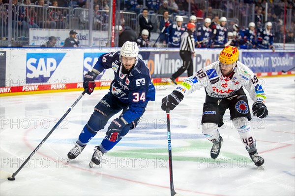 Game scene Adler Mannheim against Fischtown Pinguins Bremerhaven (PENNY DEL, German Ice Hockey League)