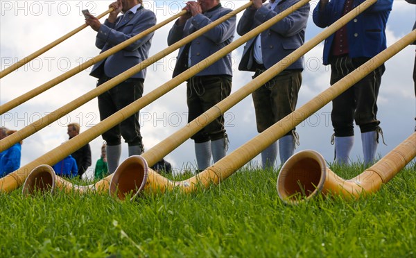 Alphorn players in Bavaria Germany . The alphorn is a traditional wind instrument in the Alps (Waltenhofen, 03/10/2019)