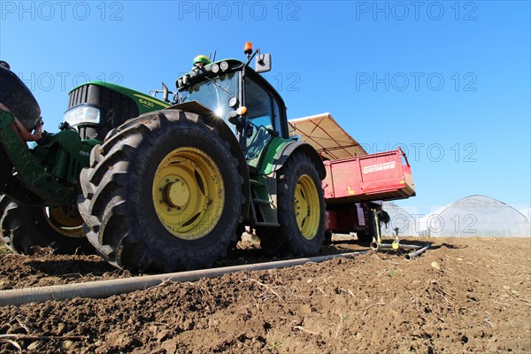 Farmer Hartmut Magin from Mutterstadt harvesting early potatoes in the Palatinate (Mutterstadt, Rhineland-Palatinate)