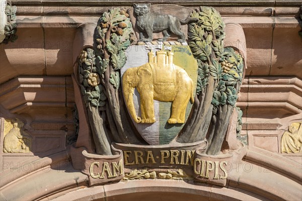 Elephant decoration Council House building opened 1917, Tudor style 20th century architecture, Coventry, England, UK