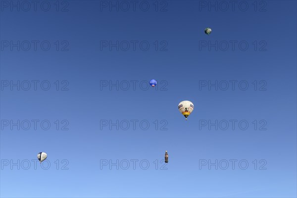 Five hot air balloons in the blue sky, Montgolfiade Tegernseer Tal, Balloon Week Tegernsee, Warngau, Bavarian Oberland, Upper Bavaria, Bavaria, Germany, Europe