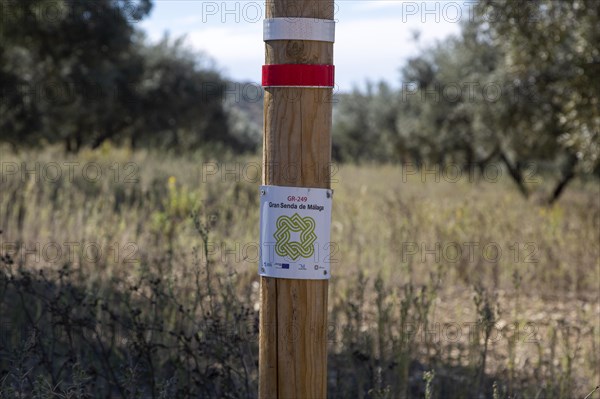 Signpost waymark for long distance footpath GR-249, Gran Senda de Malaga, Periana, Axarquia, Andalusia, Spain, Europe