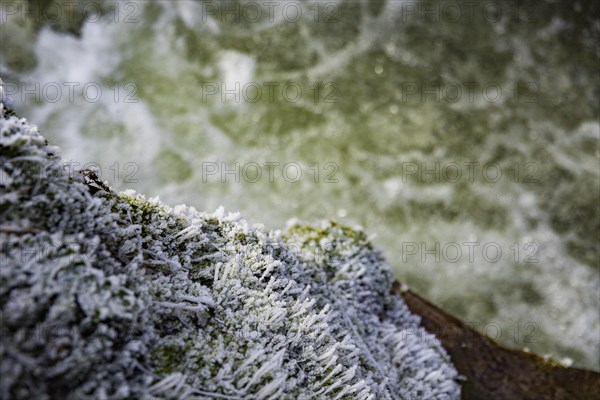 Severe frost has formed bizarre ice formations in the riverbed of the Gottleuba. Frozen spray covers the moss carpets on the rocks, Bergieshuebel, Saxony, Germany, Europe