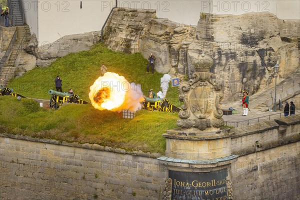 Koenigstein Fortress in Saxon Switzerland. A cannon belonging to the Koenigstein Fortress, built in 1712, was christened DIE STARKE AUGUSTE and fired. By the Electoral Saxon Gunners 1730 of the Rifle Society Friedersdorf., Koenigstein, Saxony, Germany, Europe