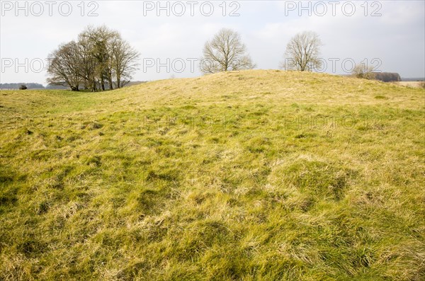 White Barrow neolithic long barrow burial mound tumulus, near Tilshead, Salisbury Plain, Wiltshire, England, UK