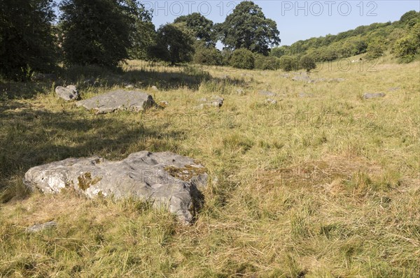 Sarsen stones lying in a boulder stream at Lockeridge Dene, near Marlborough, Wiltshire, England, UK