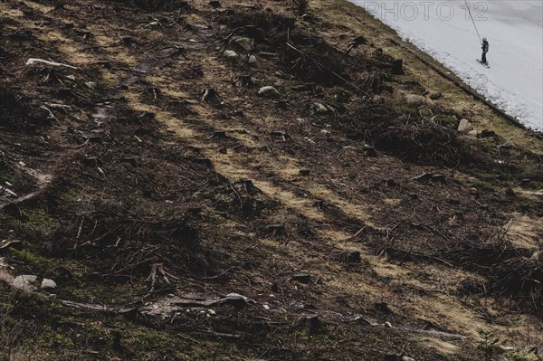 A skier uses a platter lift next to a deforested area, taken on a ski slope in the Jizera Mountains ski area near Albrechtice v Jizerskych Horach, 05.02.2024. The Czech low mountain range with its ski area is affected by increasingly warmer and shorter winters