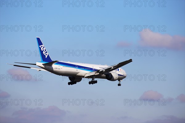 A passenger plane of the Japanese airline ANA lands at Frankfurt Airport