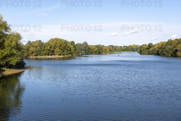 Alton Water reservoir lake, Suffolk, England, UK landscape scenery near Tattingstone