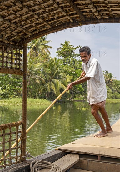 A man navigates a boat through the canals of the Kerala Backwaters using a long pole, Vembanad Lake, Kerala, India, Asia