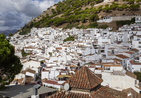 Whitewashed houses on hillside in mountain village of Mijas, Costa del Sol, Malaga province, Andalusia, Spain, Europe