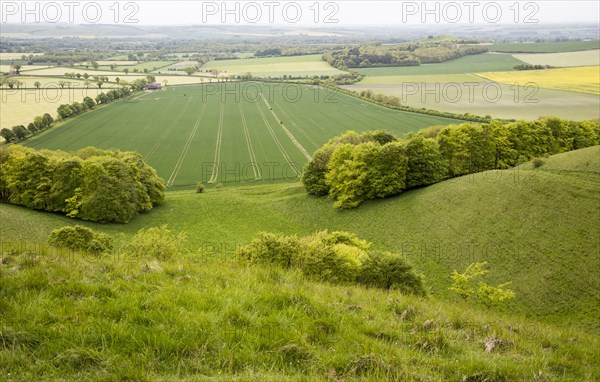 Chalk escarpment scarp slope, Pewsey Downs chalk grassland, Vale of Pewsey, Wiltshire, England, UK looking south to Woodborough