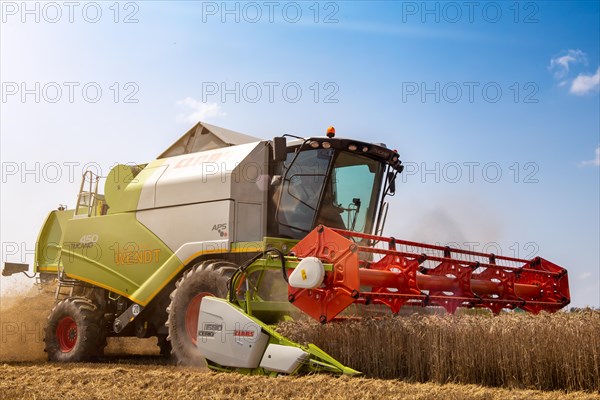 Grain harvest near Hockenheim, Baden-Wuerttemberg