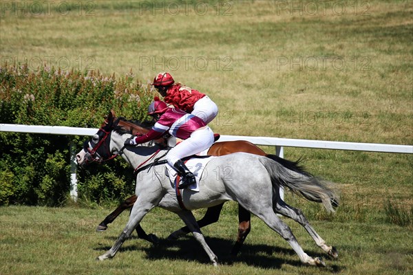 Horse racing at the Hassloch racecourse, Palatinate