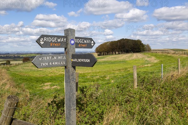 Ridgeway long distance footpath signpost on chalk scarp slope Hackpen Hill, Wiltshire, England, Uk