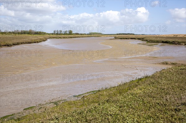 Barthorp's Creek a tidal tributary near the mouth of the River Ore at low tide, Hollesley, Suffolk, England, UK