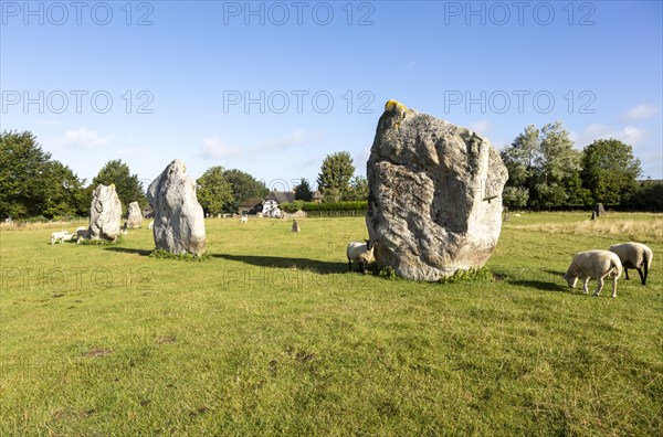 Standing stones in south east quadrant neolithic stone circle henge prehistoric monument, Avebury, Wiltshire, England UK