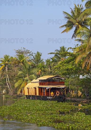 A traditional houseboat cruises along the channels near Kumarakom, offering a glimpse into the unique way of exploring the tranquil Kerala backwaters, India, Asia