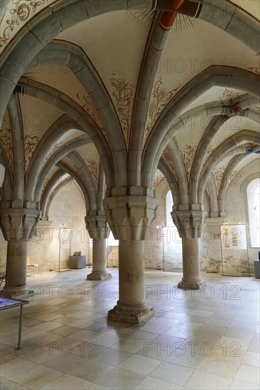 Ceiling with floral frescoes, Bebenhausen Cistercian Monastery, Tuebingen, Baden-Wuerttemberg, Germany, Europe