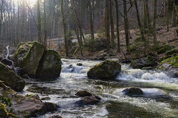 Severe frost has formed bizarre ice formations in the riverbed of the Gottleuba, Bergieshuebel, Saxony, Germany, Europe