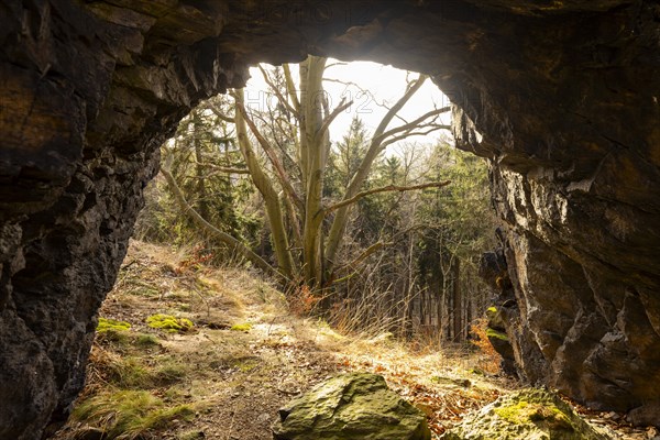 The Hohle Stein, a rock gate about three metres high and about four metres wide near Oelsen (area natural monument), Oelsen, Saxony, Germany, Europe