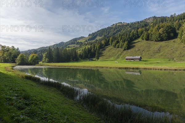 Alpine pasture at Lecknersee, humpback meadow, water reflection, municipality of Dornbirn, Bregenzerwald, Voralberg, Austria, Europe