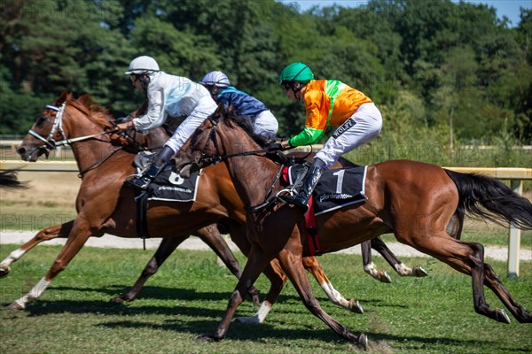 Race day at the racecourse in Hassloch, Palatinate. Prize of the Sparkasse Rhein-Haardt (Category E, 2, 200 metres)