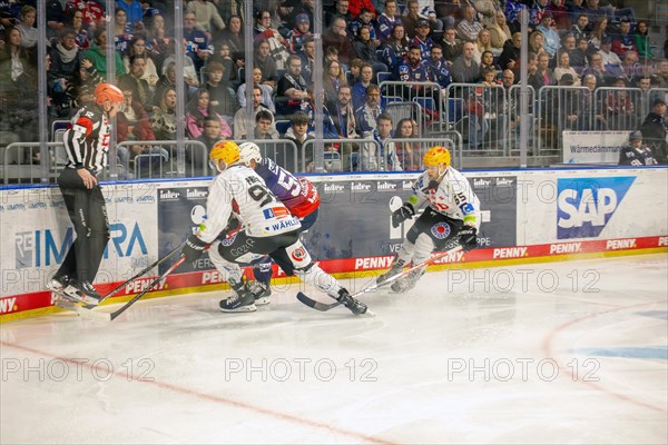 Game scene Adler Mannheim against Fischtown Pinguins Bremerhaven (PENNY DEL, German Ice Hockey League)