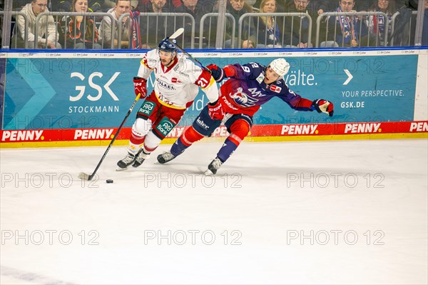 Game scene Adler Mannheim against Duesseldorfer EG (PENNY DEL, German Ice Hockey League)