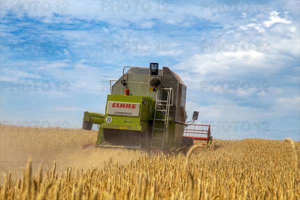 Grain harvest in the district of Bad Duerkheim (Rhineland-Palatinate)