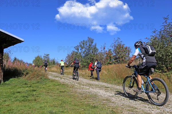 Mountain bike tour through the Bavarian Forest with the DAV Summit Club: Mountain bikers on the ascent to the Grosser Arber