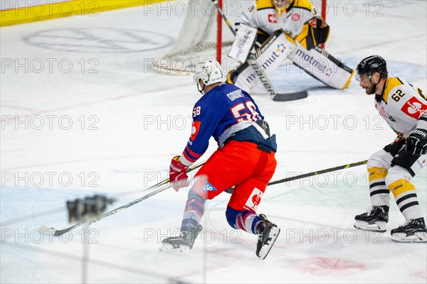 Game scene Adler Mannheim against Rouen Dragons (Champions Hockey League)