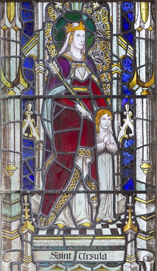Stained glass window detail Saint Ursula, Aldeburgh church, Suffolk, England, UK c c 1929 A K Nicholson