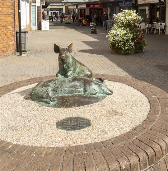 Pigs bronze sculpture by Richard Cowdy 1979, town centre of Calne, Wiltshire, England, UK